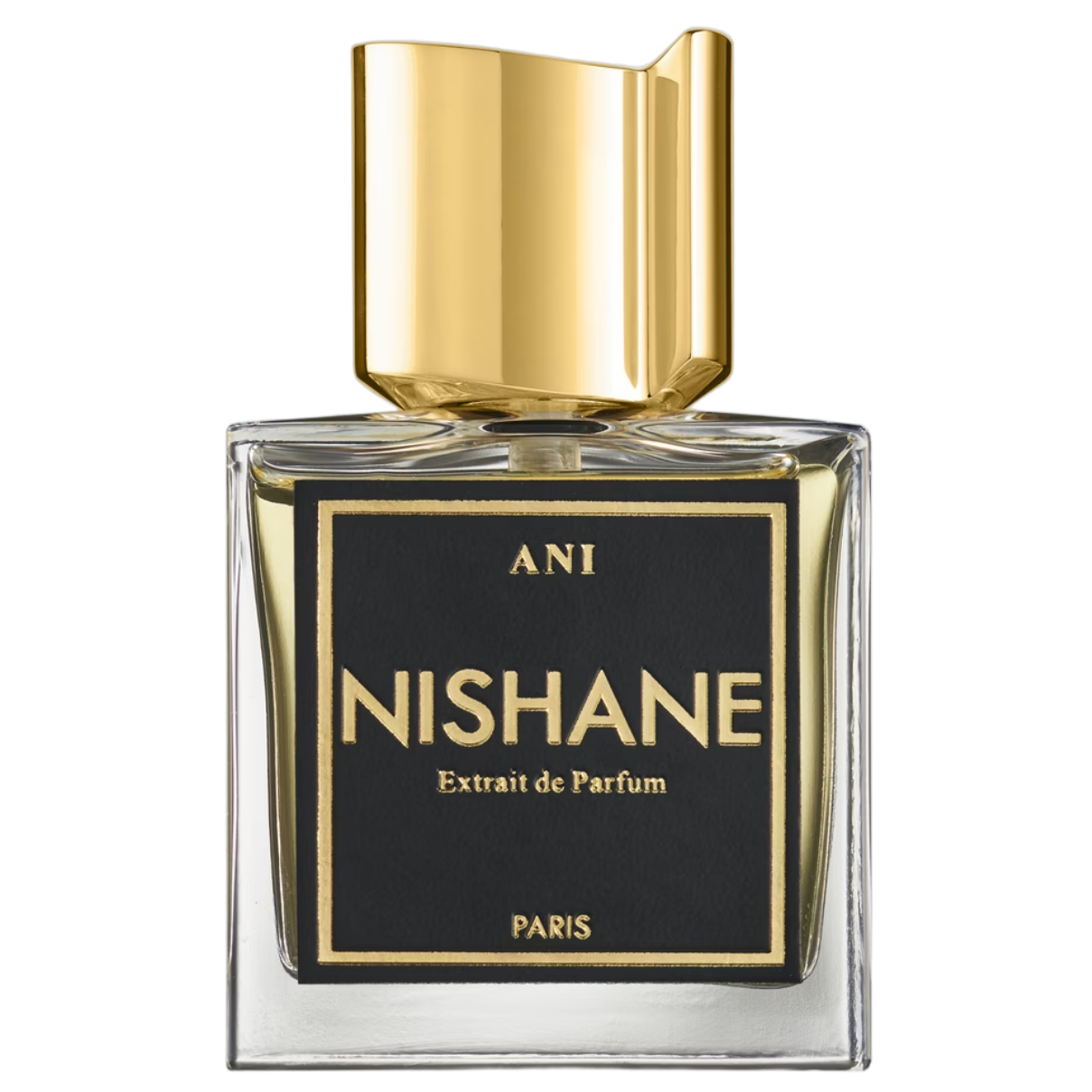 Nishane ANI ekstrakt perfum - Odlewka perfum